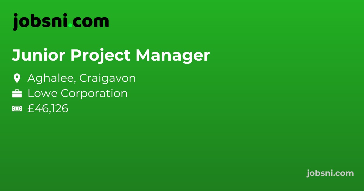 Junior Project Manager