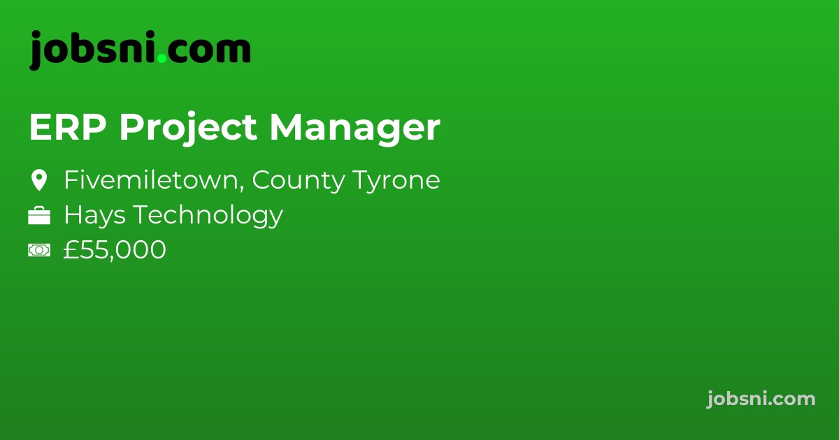 ERP Project Manager - Apply Now