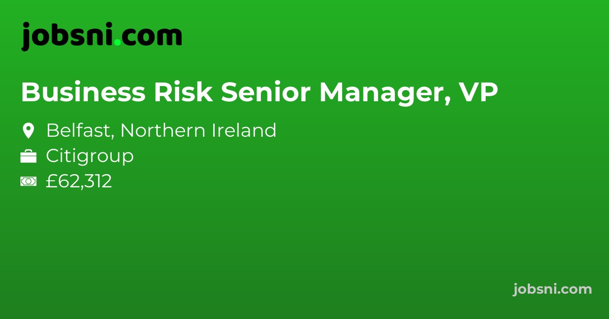 Business Risk Senior Manager, VP - Apply Now