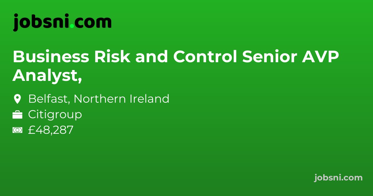 Business Risk and Control Senior Analyst, AVP - Apply Now
