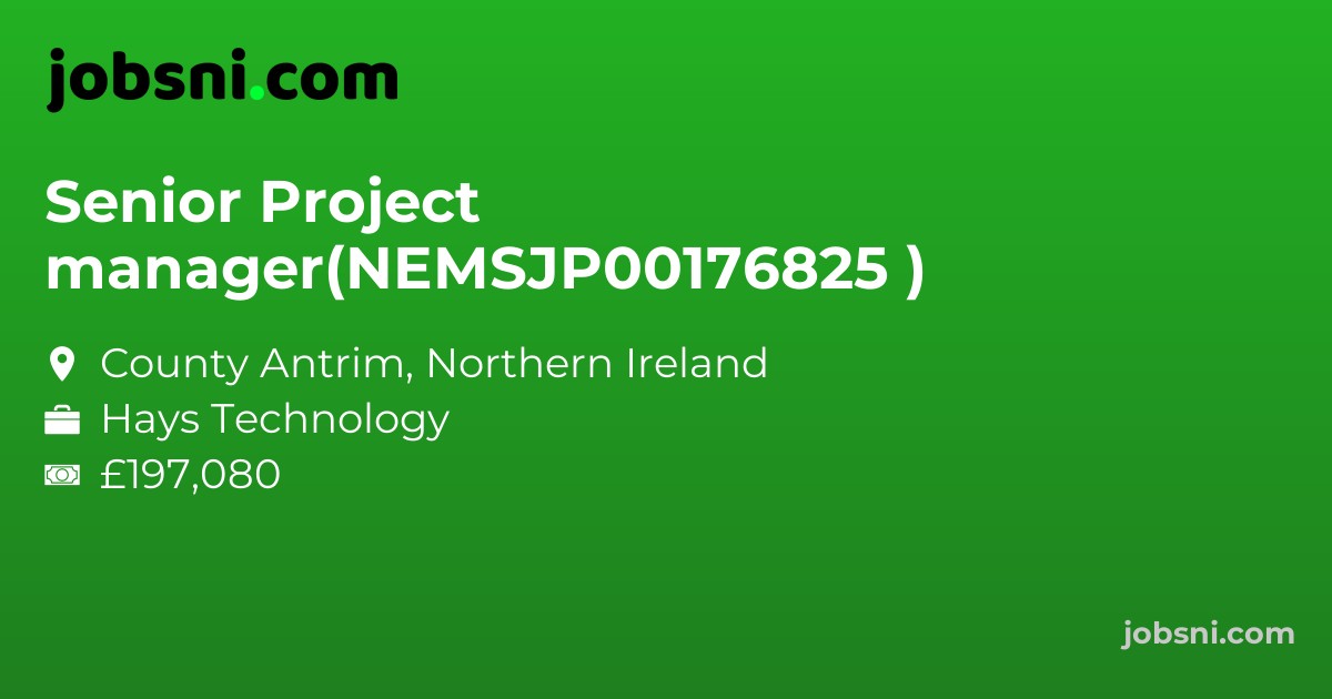 Senior Project manager(NEMSJP00176825 ) - Apply Now