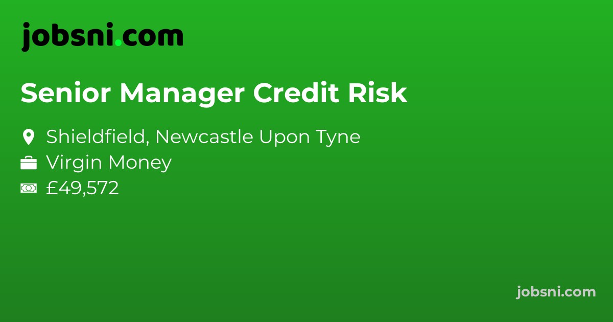 Senior Manager Credit Risk - Apply Now