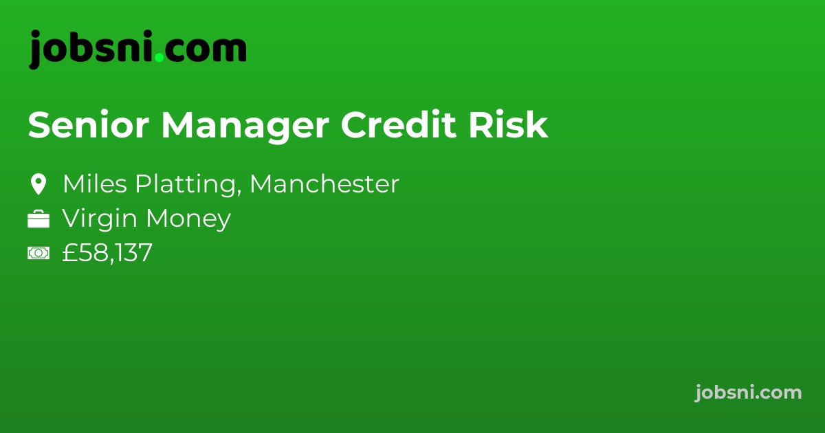 Senior Manager Credit Risk - Apply Now