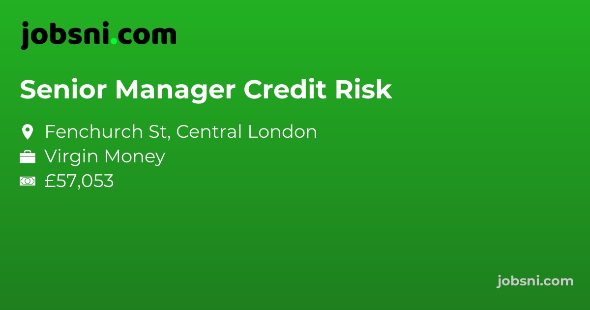 Senior Manager Credit Risk - Apply Now