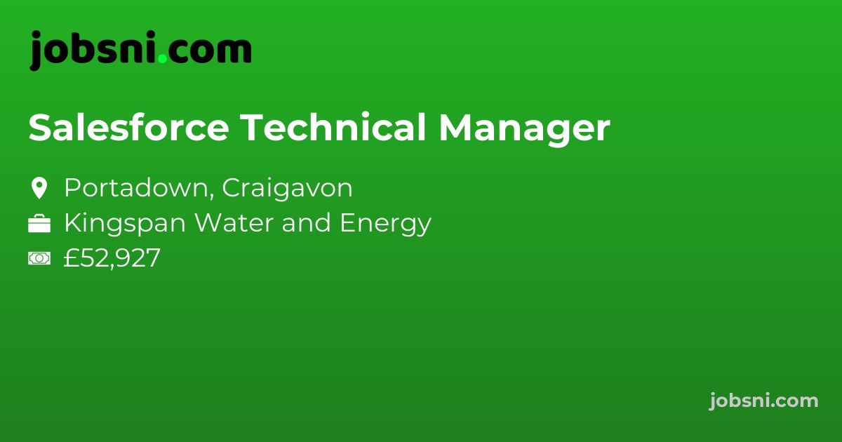 Salesforce Technical Manager