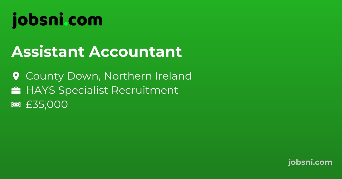 Assistant Accountant