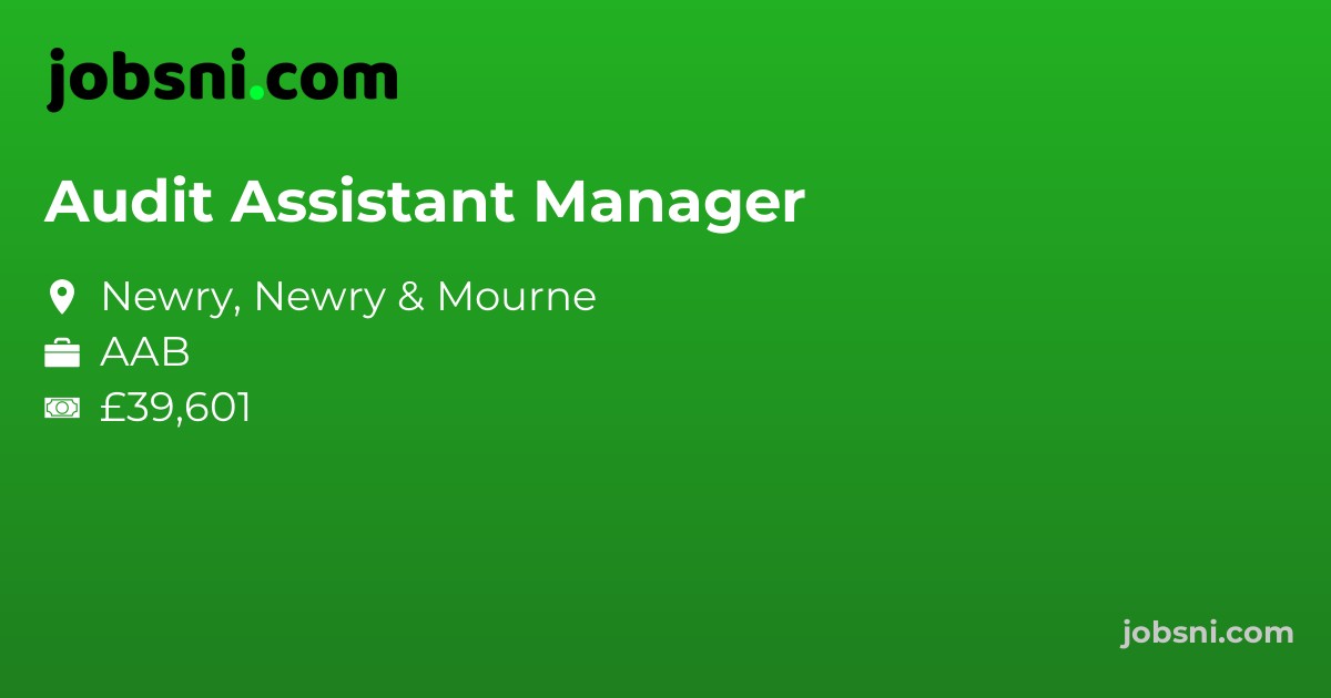 Audit Assistant Manager