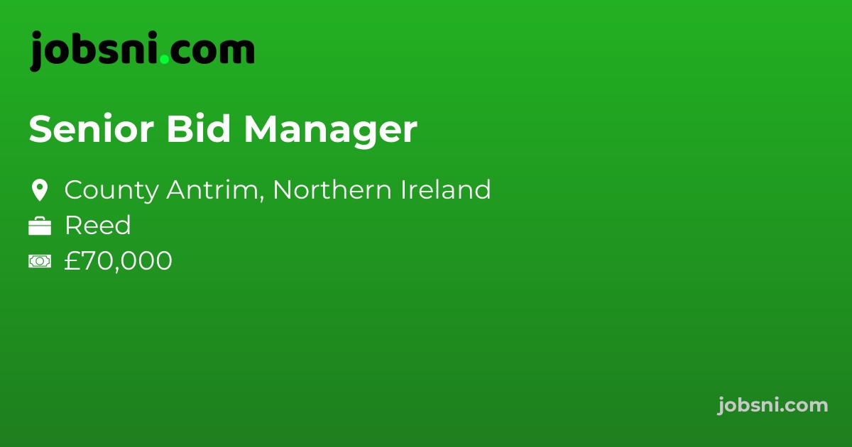 Senior Bid Manager