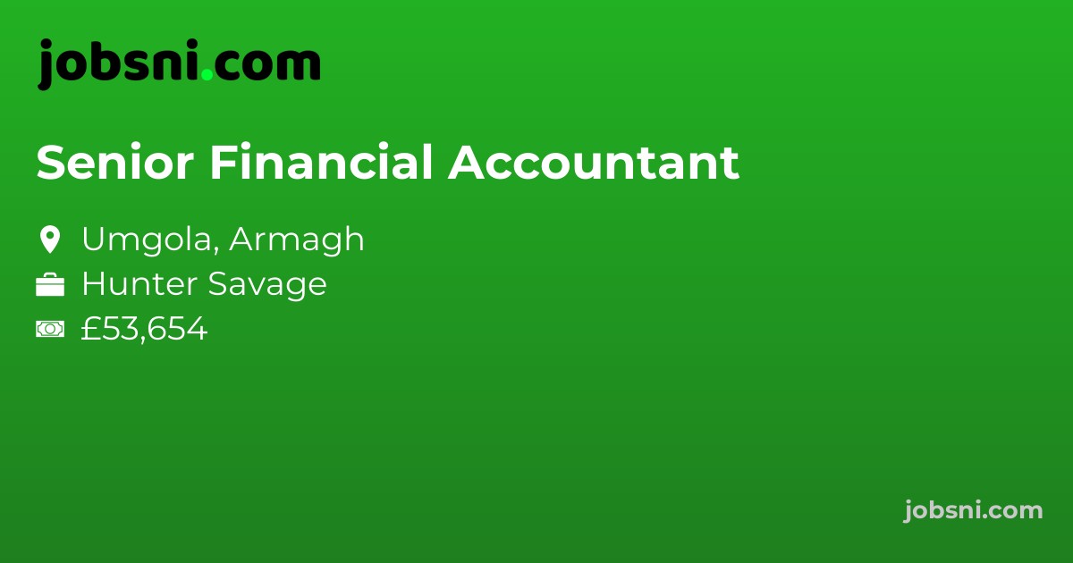 Senior Financial Accountant