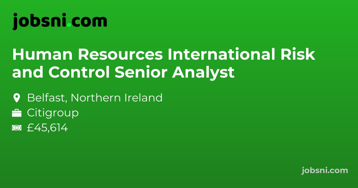 Human Resources International Risk and Control Senior Analyst