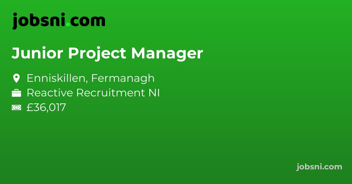Junior Project Manager