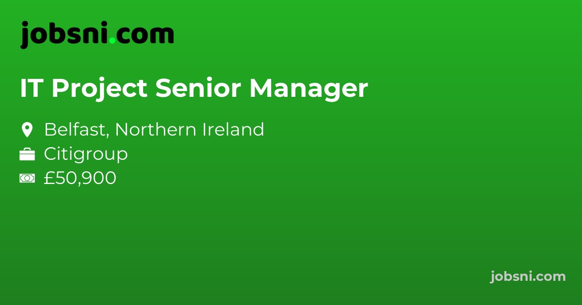 IT Project Senior Manager