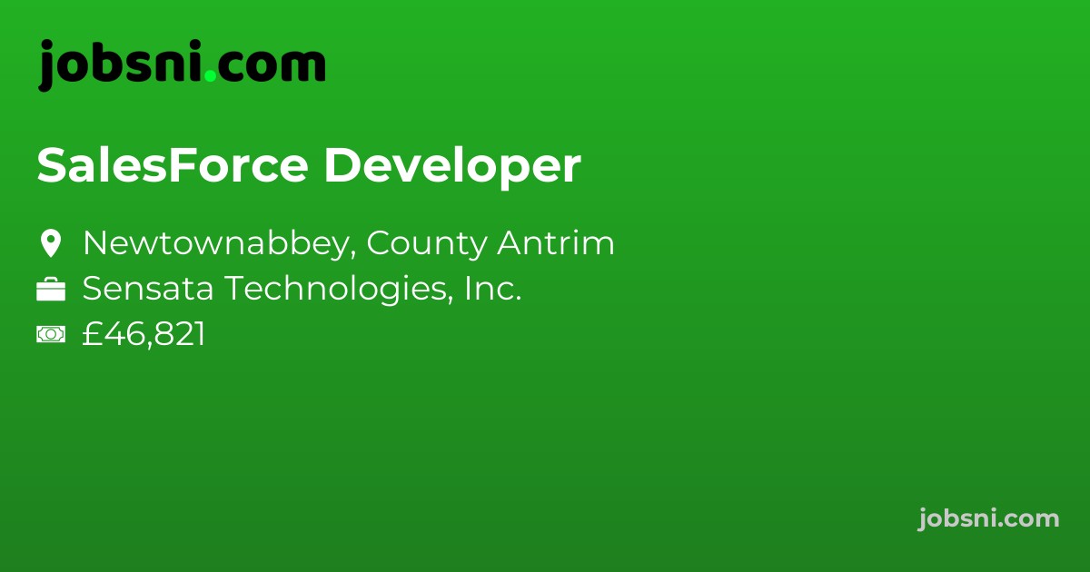 SalesForce Developer