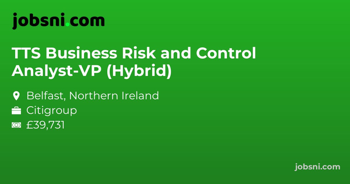 TTS Business Risk and Control Analyst-VP (Hybrid)