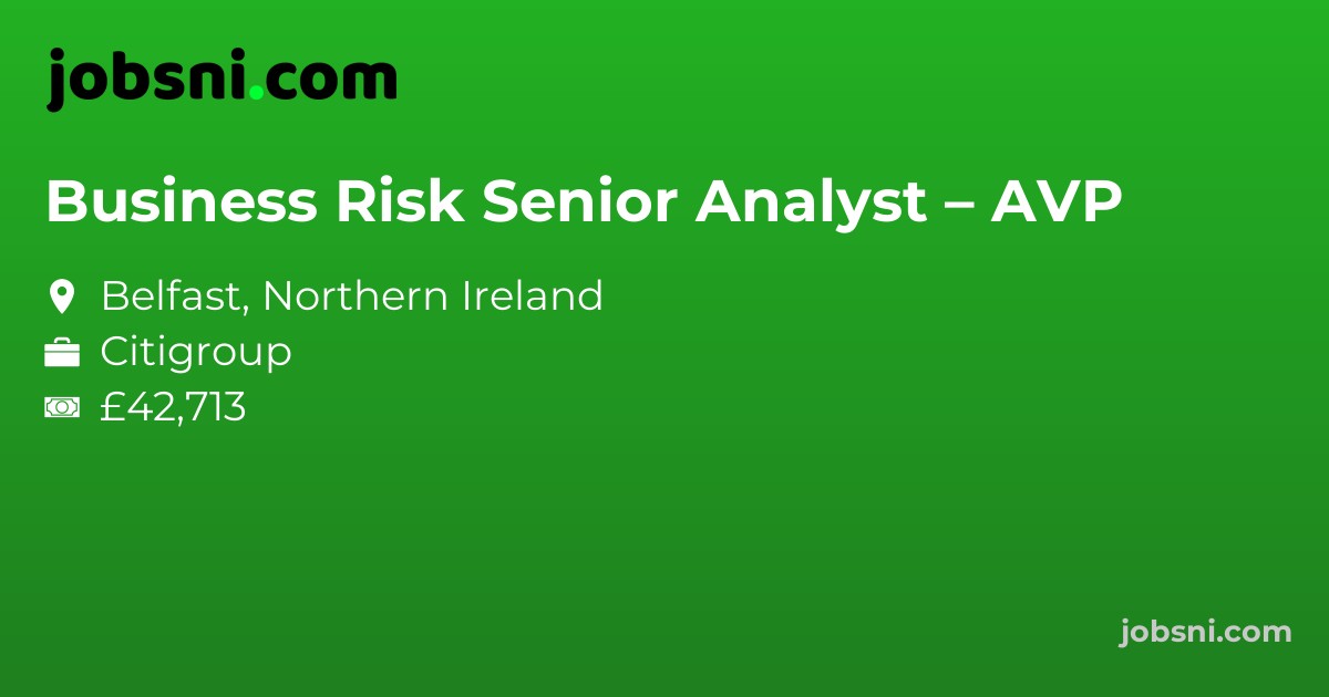 Business Risk Senior Analyst – AVP