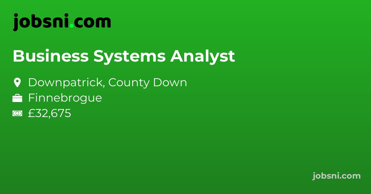 Business Systems Analyst