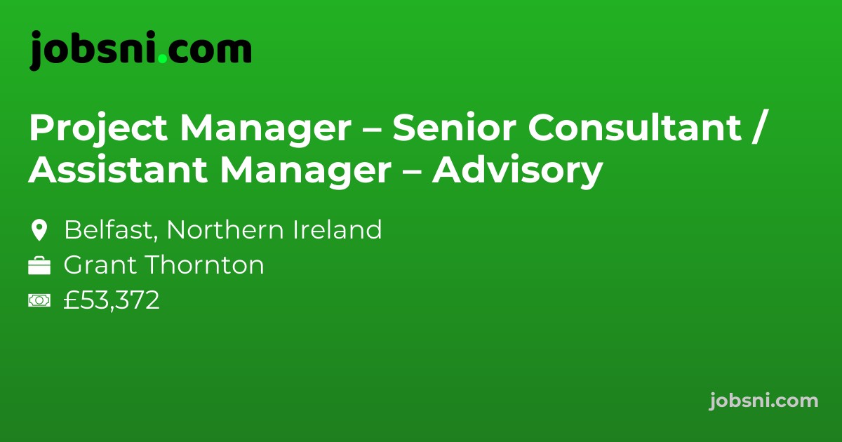 Project Manager – Senior Consultant / Assistant Manager – Advisory