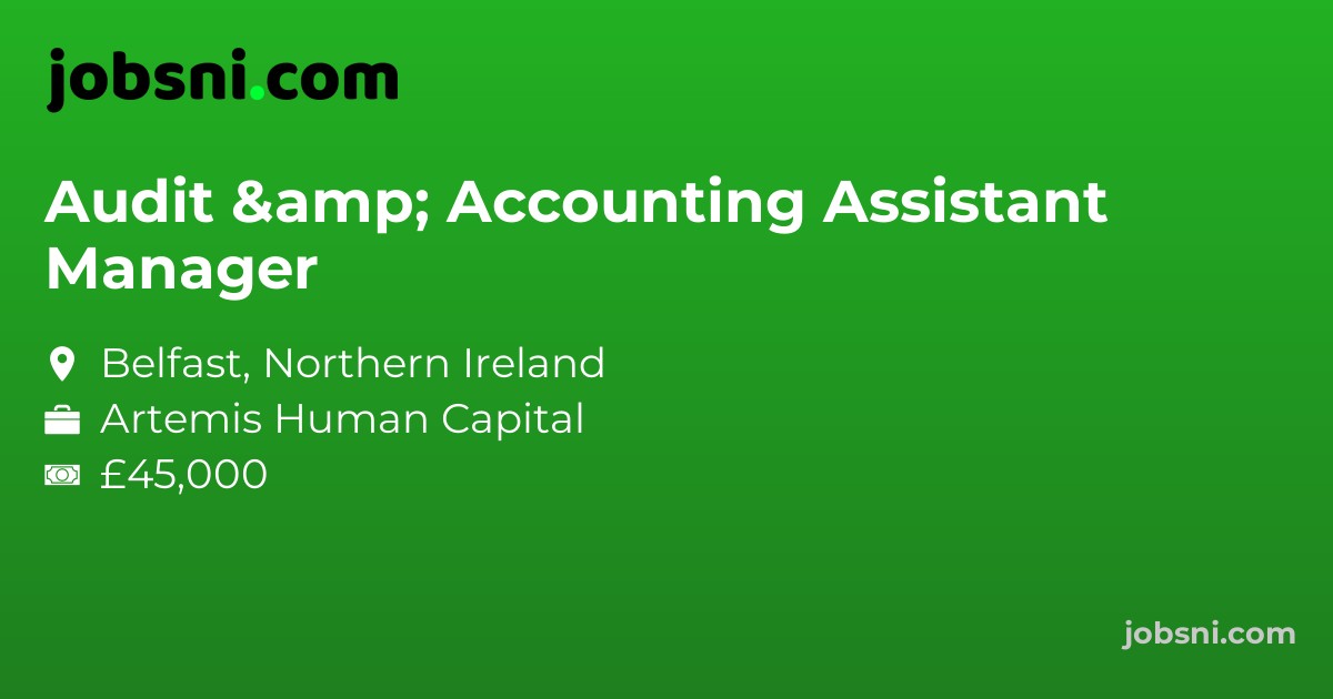 Audit & Accounting Assistant Manager