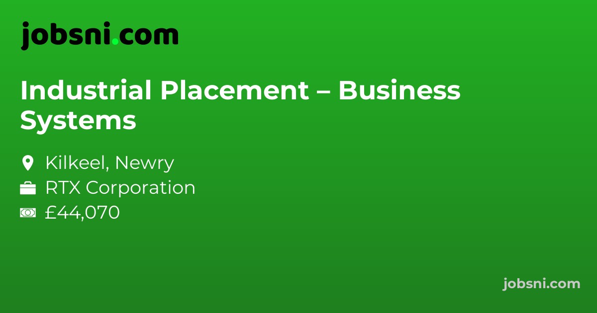 Industrial Placement – Business Systems