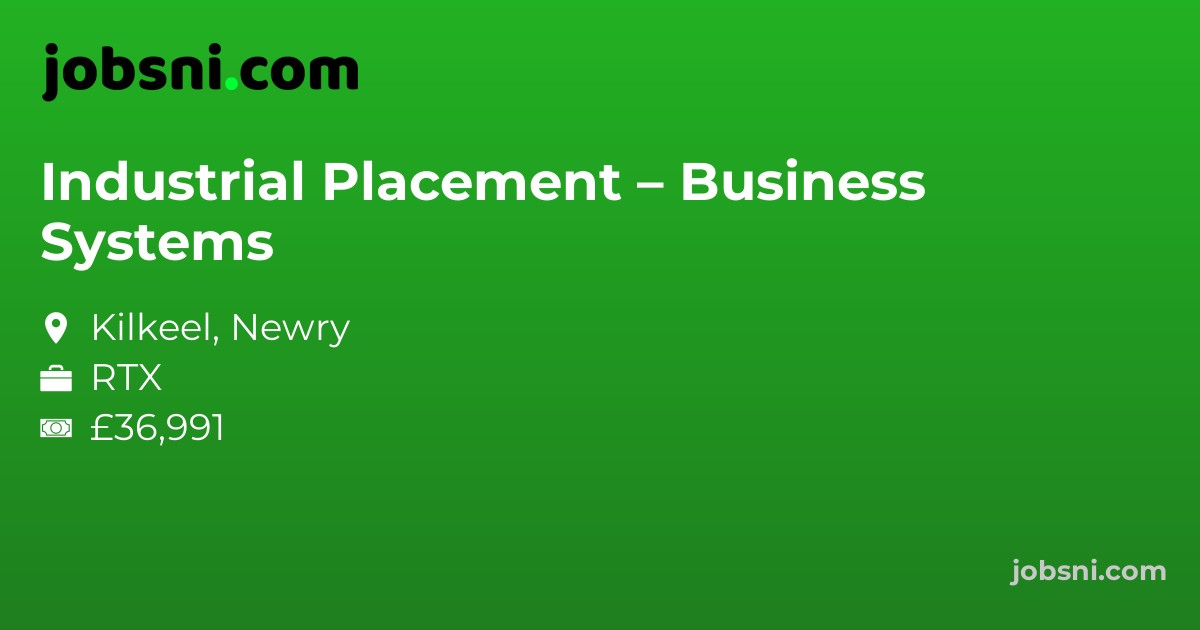 Industrial Placement – Business Systems