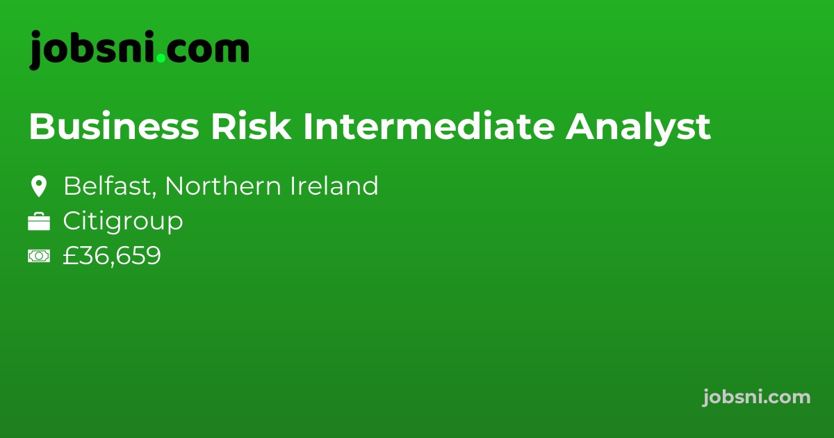 Business Risk Intermediate Analyst