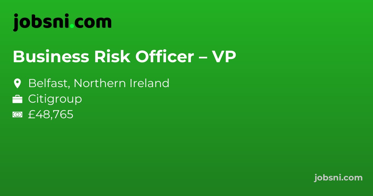 Business Risk Officer – VP