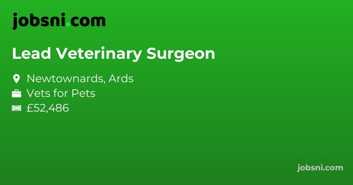 Lead Veterinary Surgeon