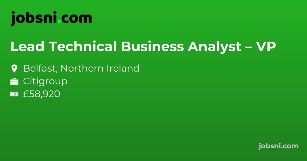 Lead Technical Business Analyst – VP