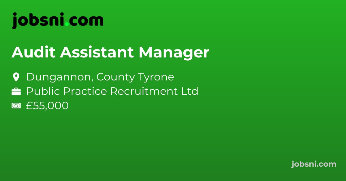 Audit Assistant Manager