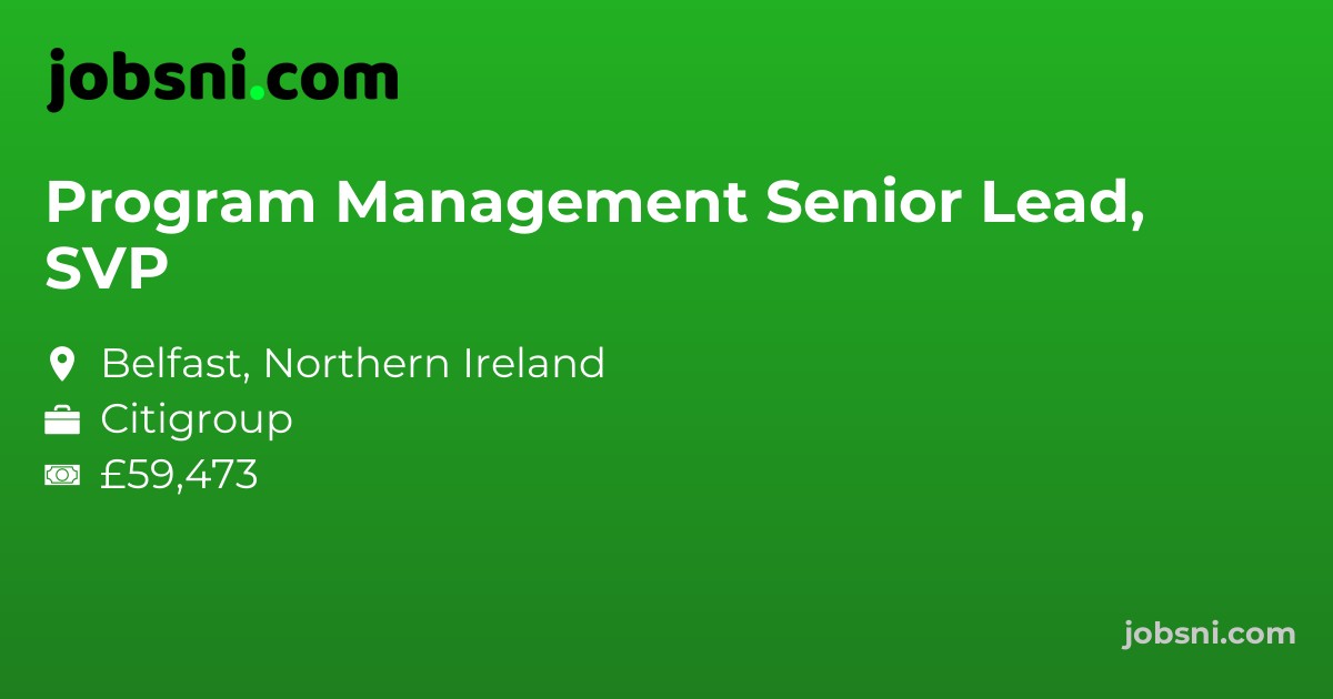 Program Management Senior Lead, SVP