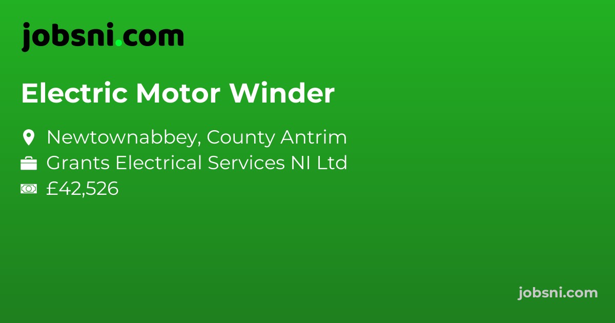 Electric Motor Winder