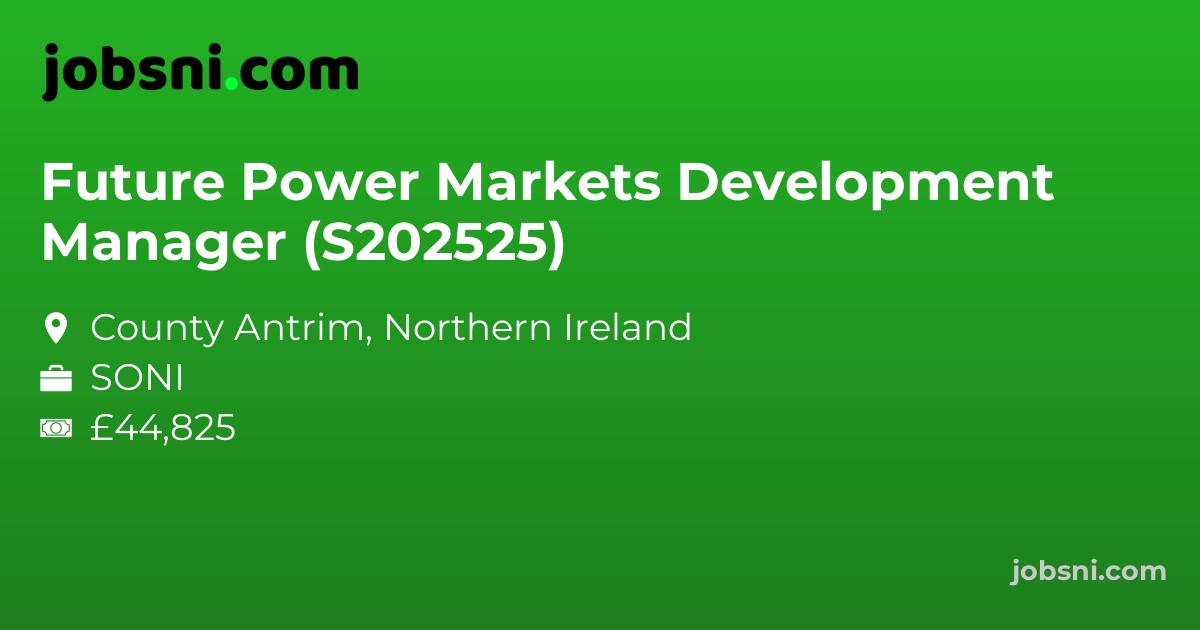 Future Power Markets Development Manager (S202525)