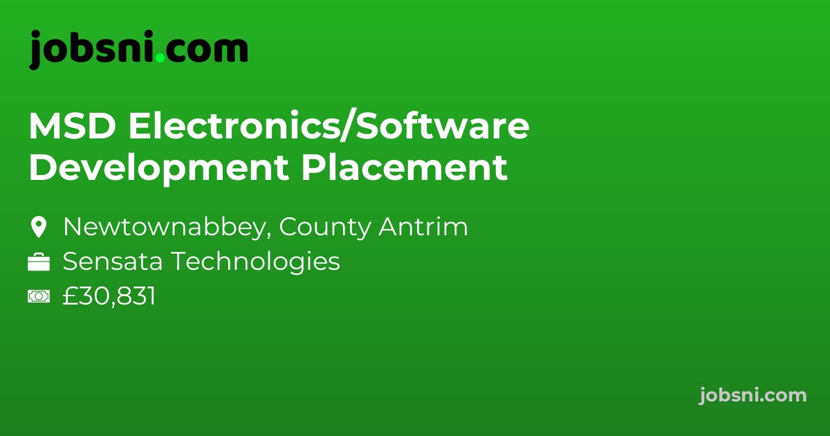 MSD Electronics/Software Development Placement
