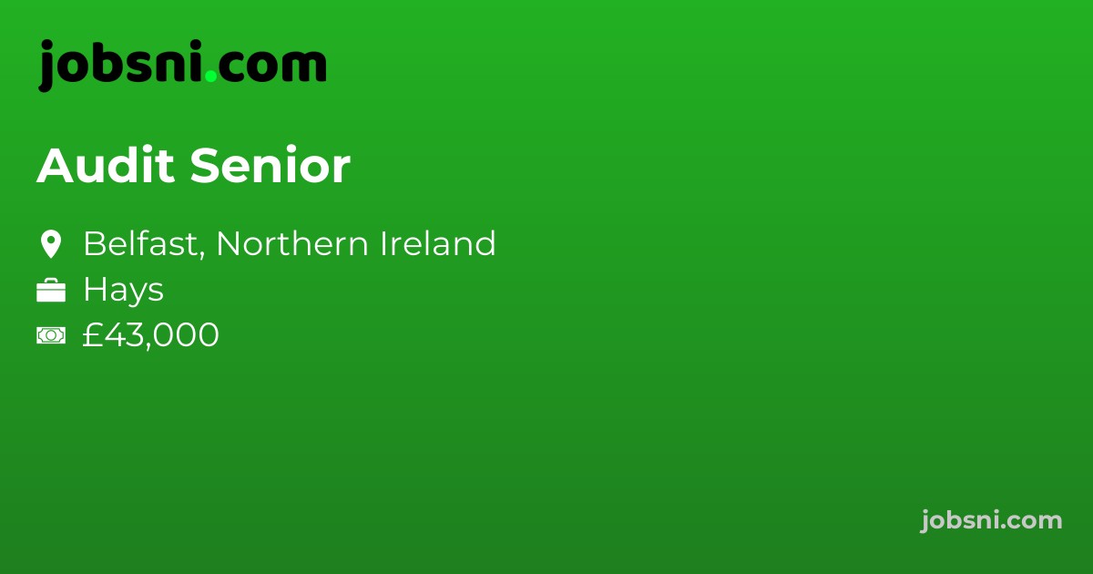 Audit Senior