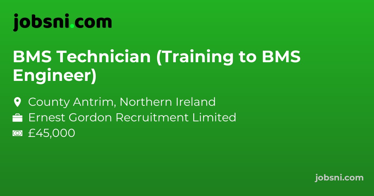 BMS Technician (Training to BMS Engineer)