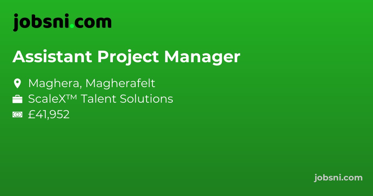 Assistant Project Manager