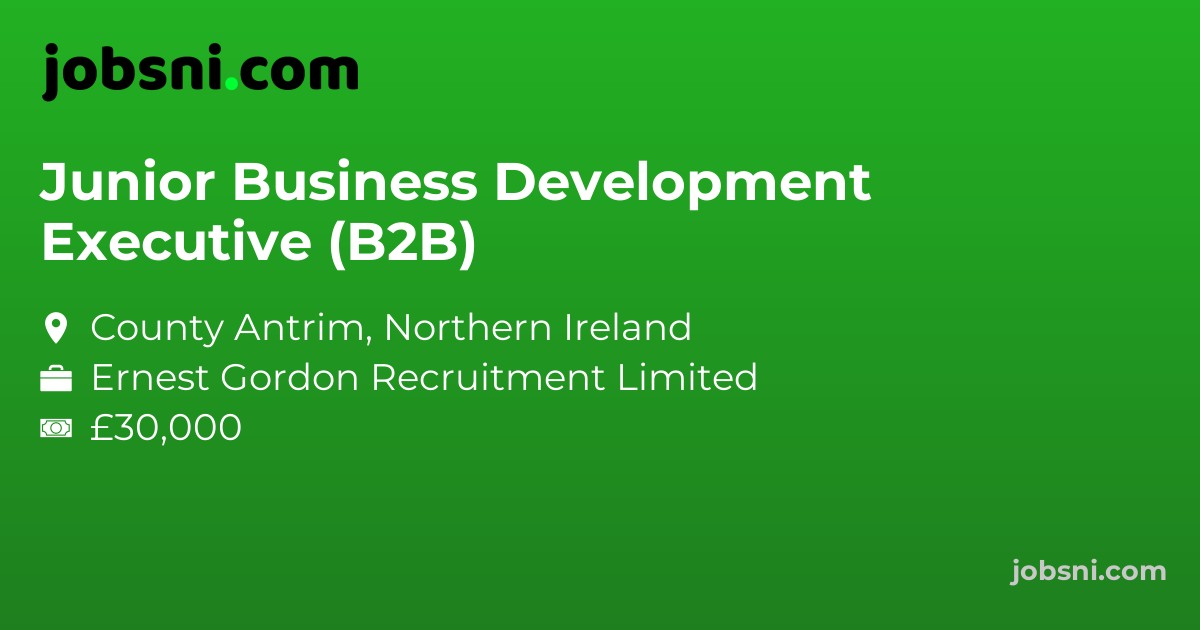 Junior Business Development Executive (B2B)
