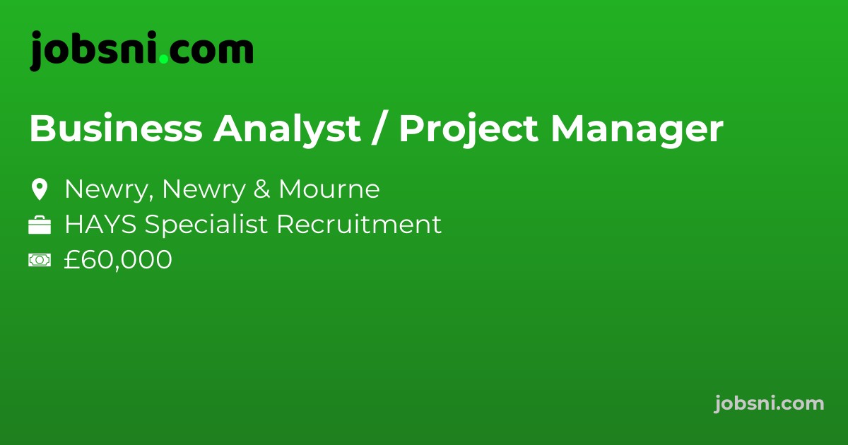 Business Analyst / Project Manager