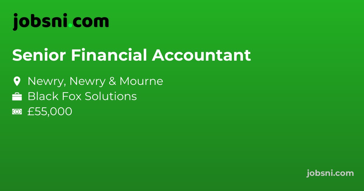 Senior Financial Accountant