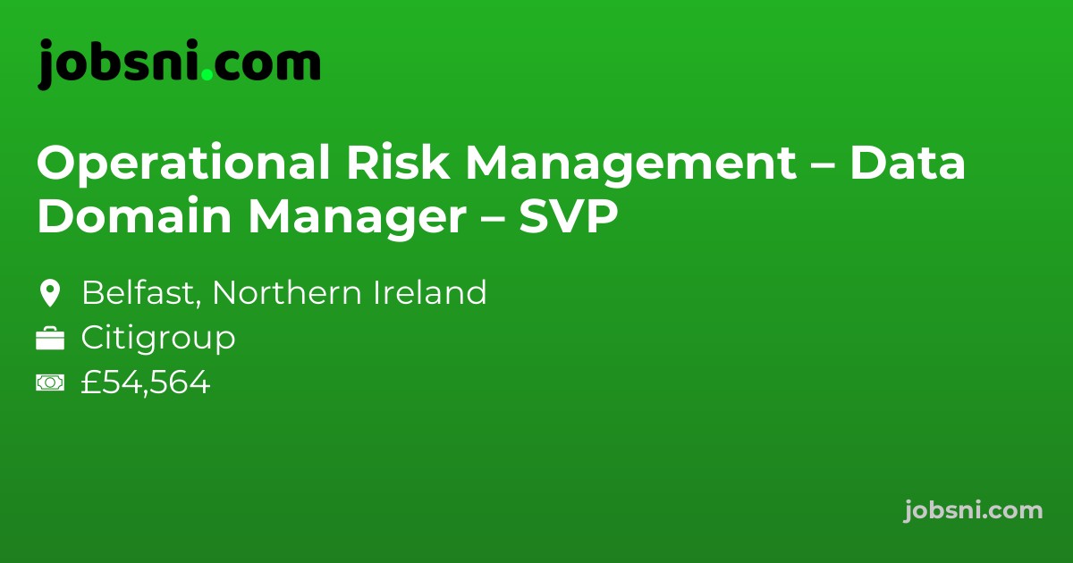 Operational Risk Management – Data Domain Manager – SVP