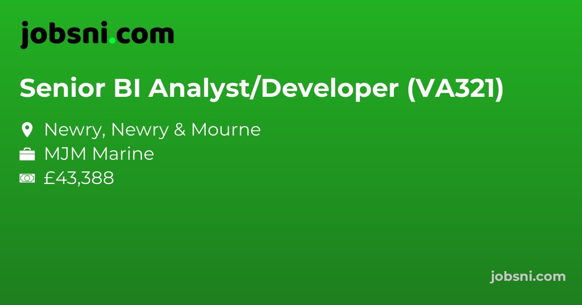 Senior BI Analyst/Developer (VA321)