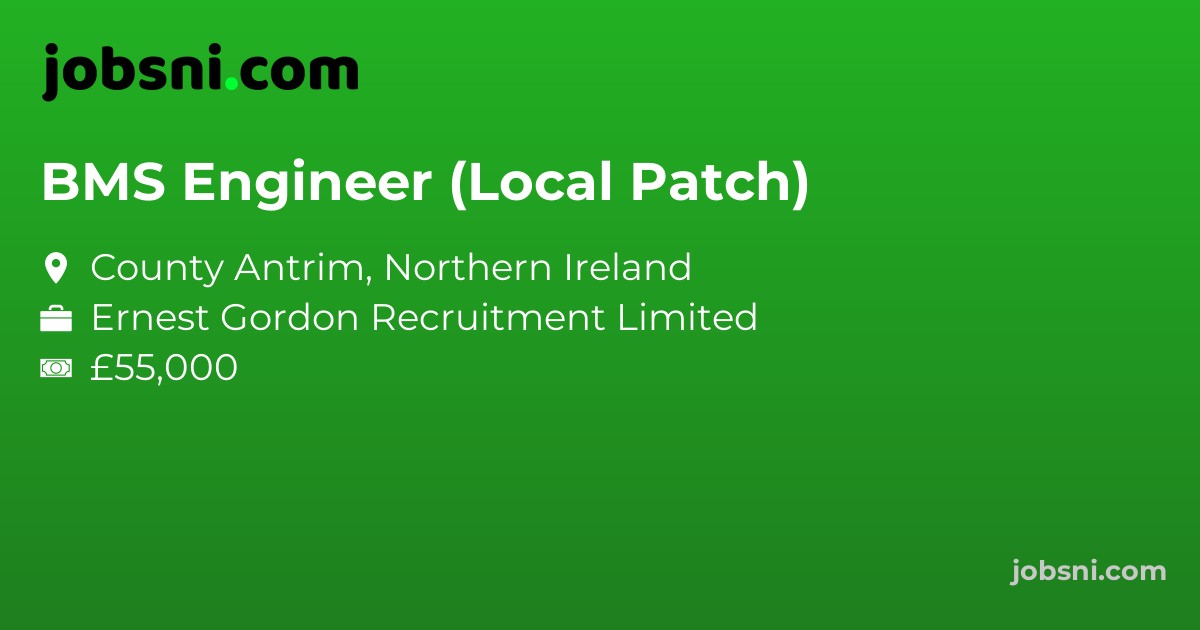 BMS Engineer (Local Patch)