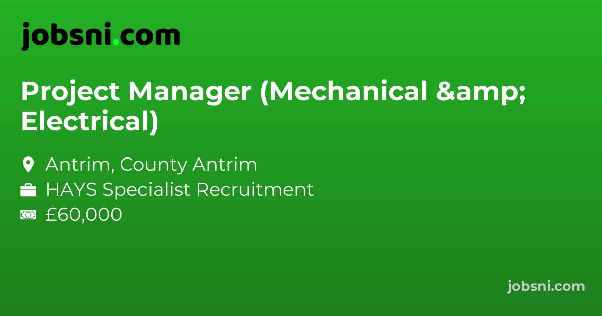 Project Manager (Mechanical & Electrical)