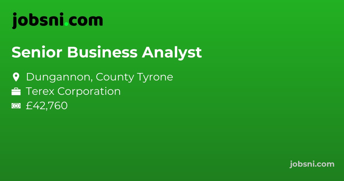 Senior Business Analyst