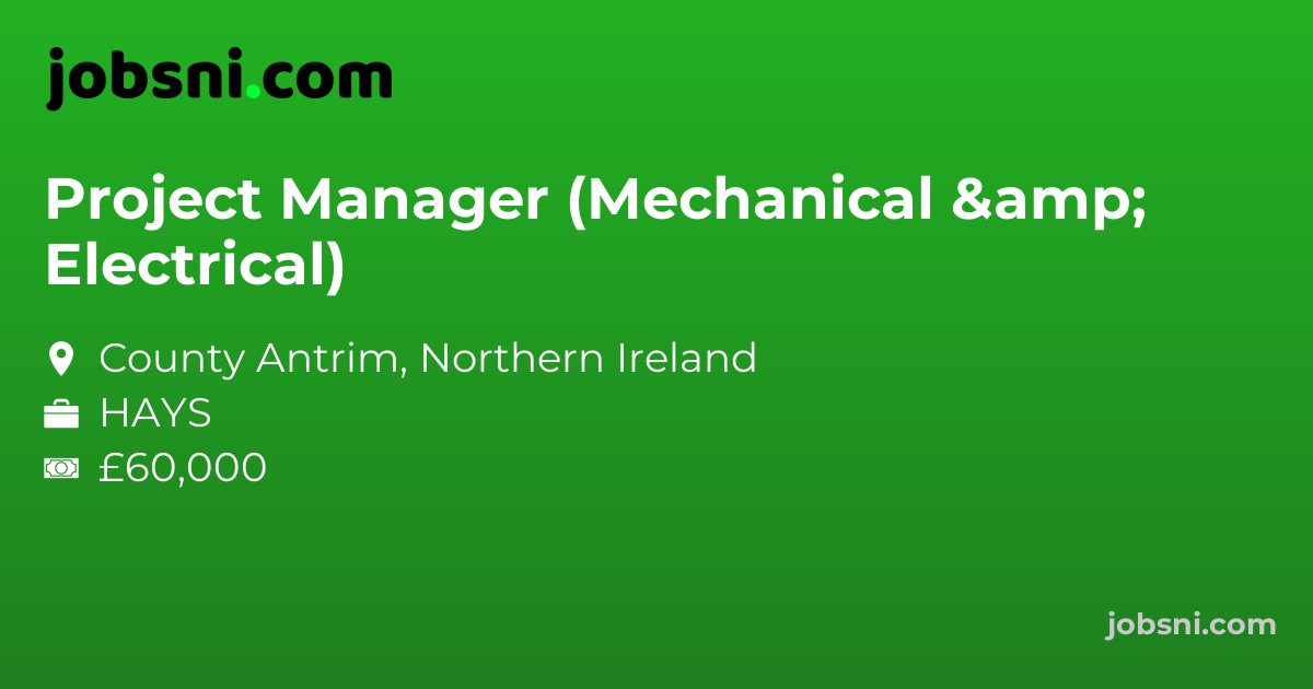 Project Manager (Mechanical & Electrical)