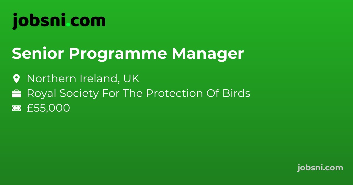 Senior Programme Manager