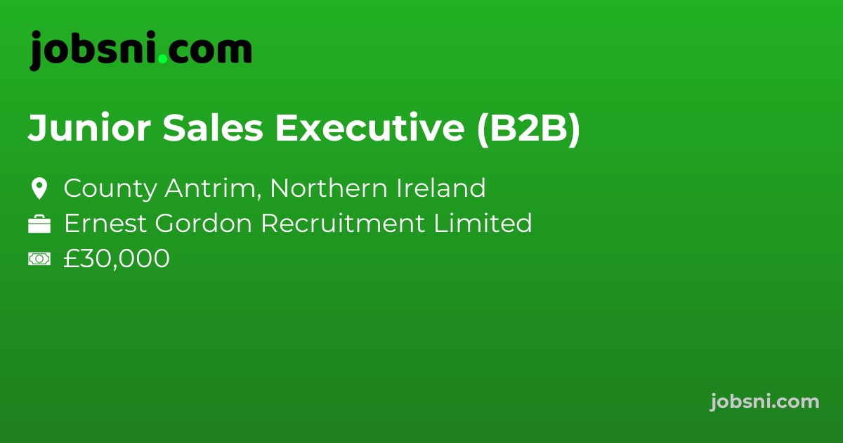 Junior Sales Executive (B2B)