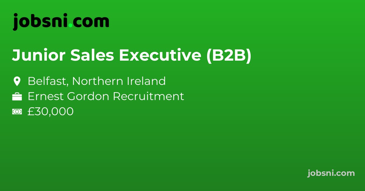 Junior Sales Executive (B2B)