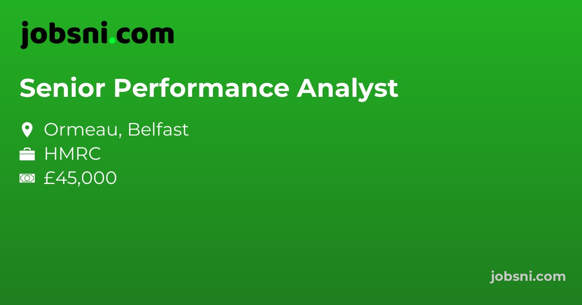 Senior Performance Analyst