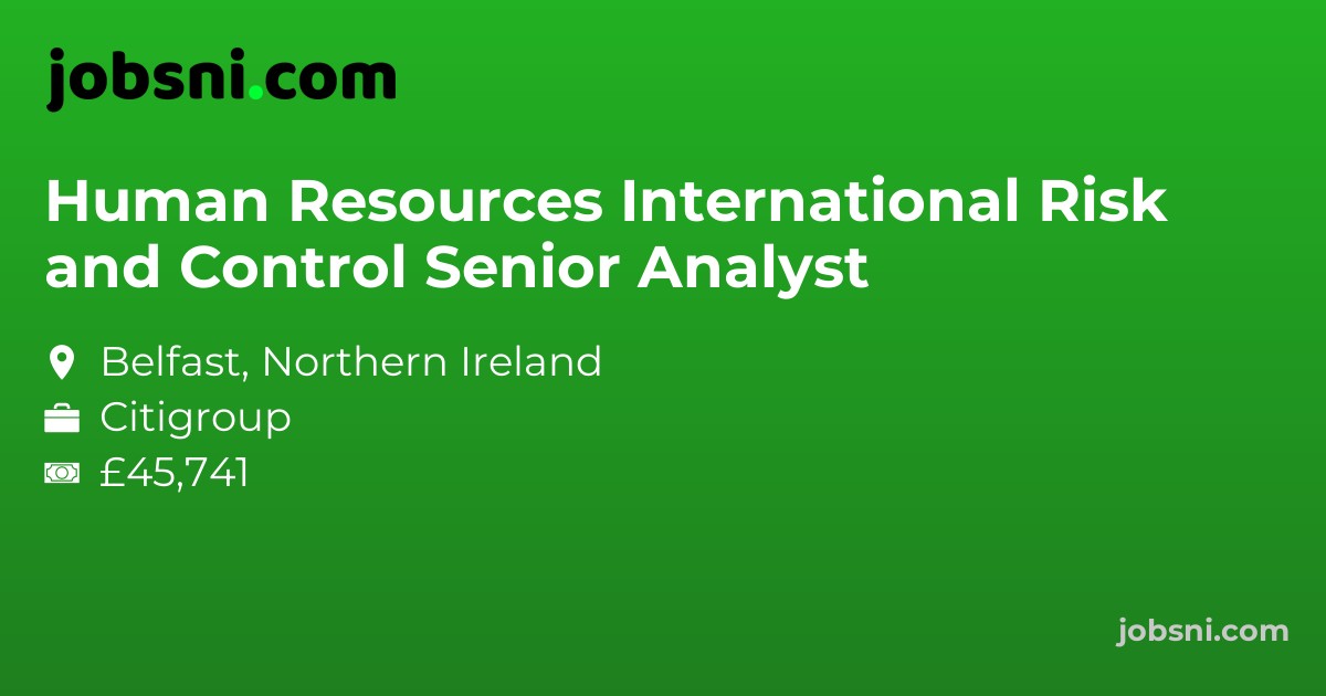 Human Resources International Risk and Control Senior Analyst